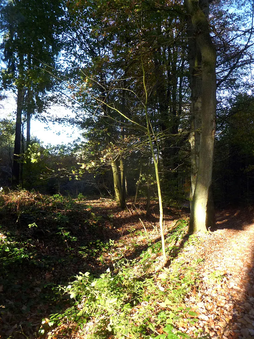 Aachener Landgraben - Elleterberg