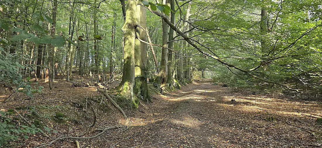 Aachener Landgraben