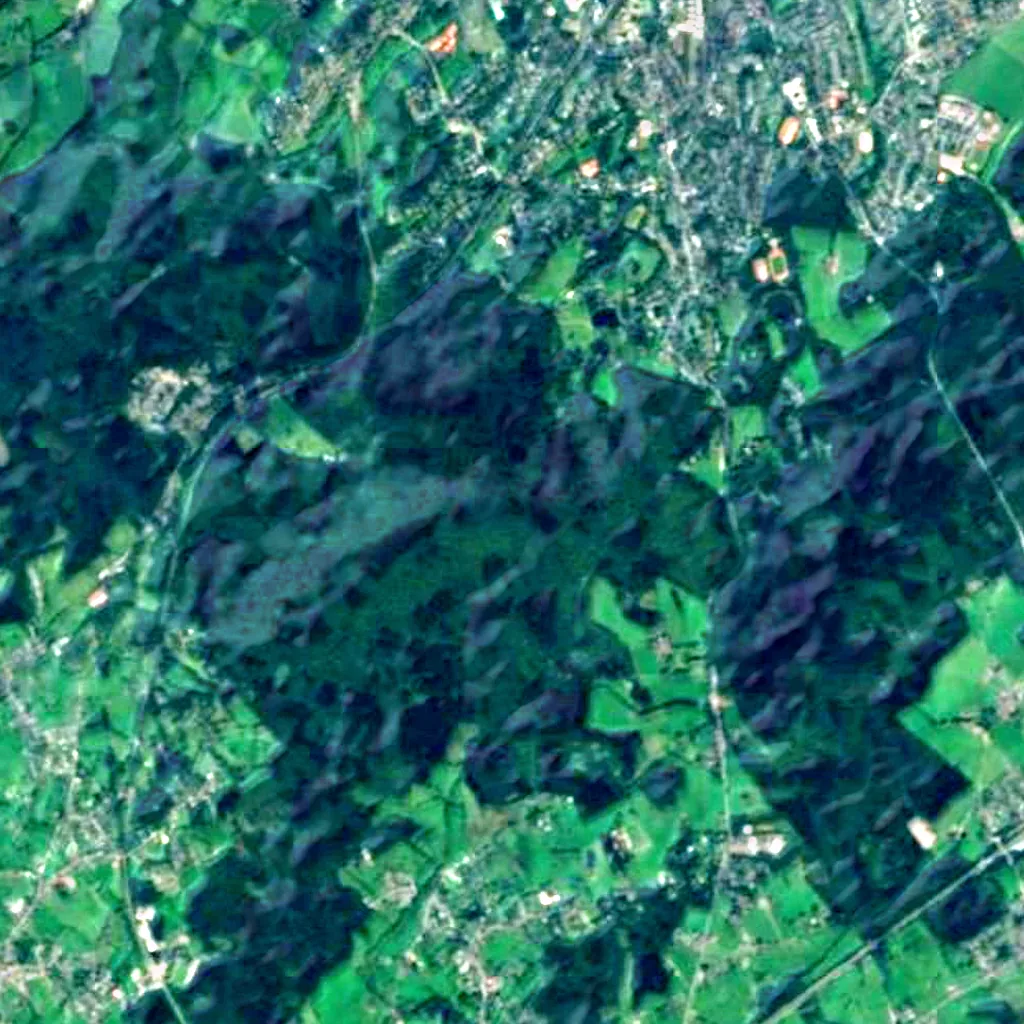 Aachener Stadtforst seen from above (Sentinel-2)