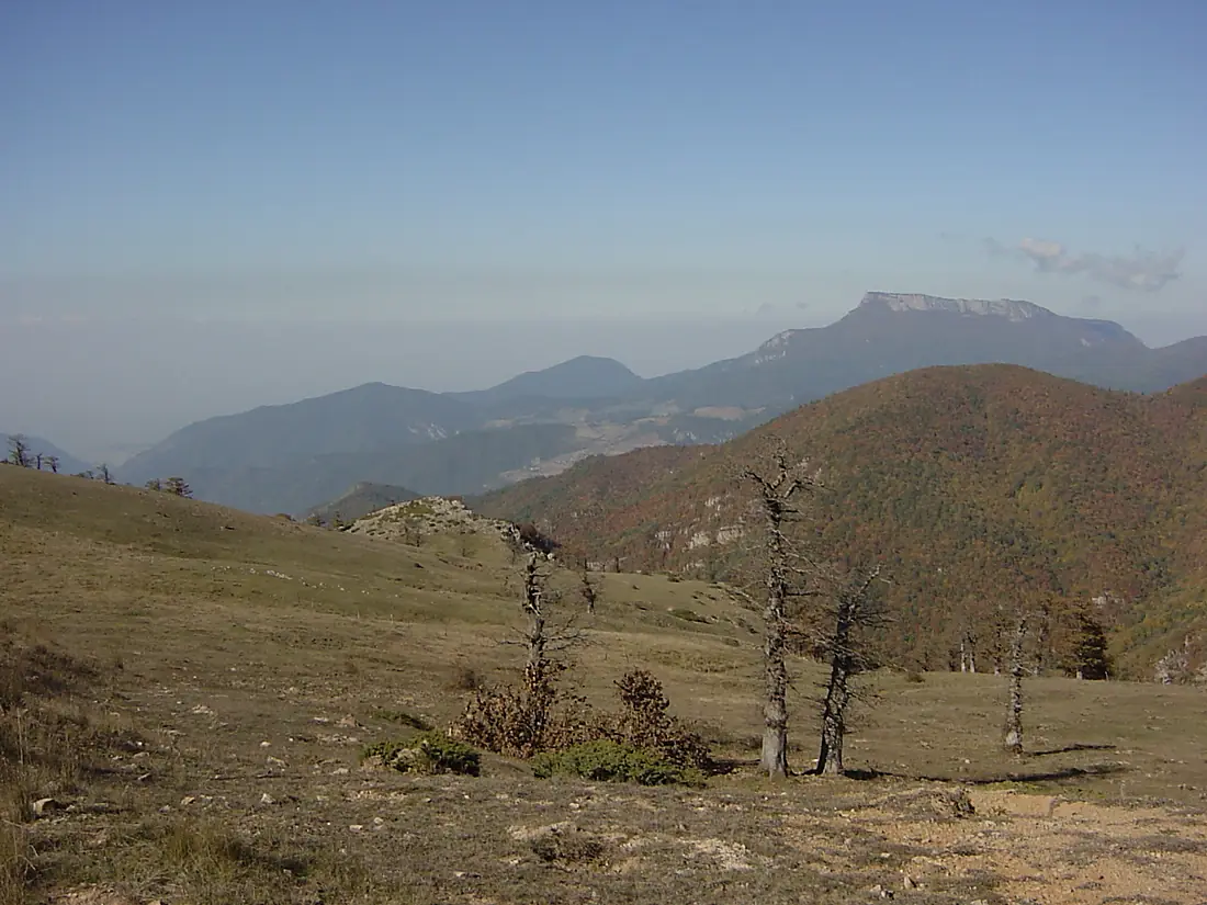 Cloud forest - ^ Ghalemuran view - panoramio