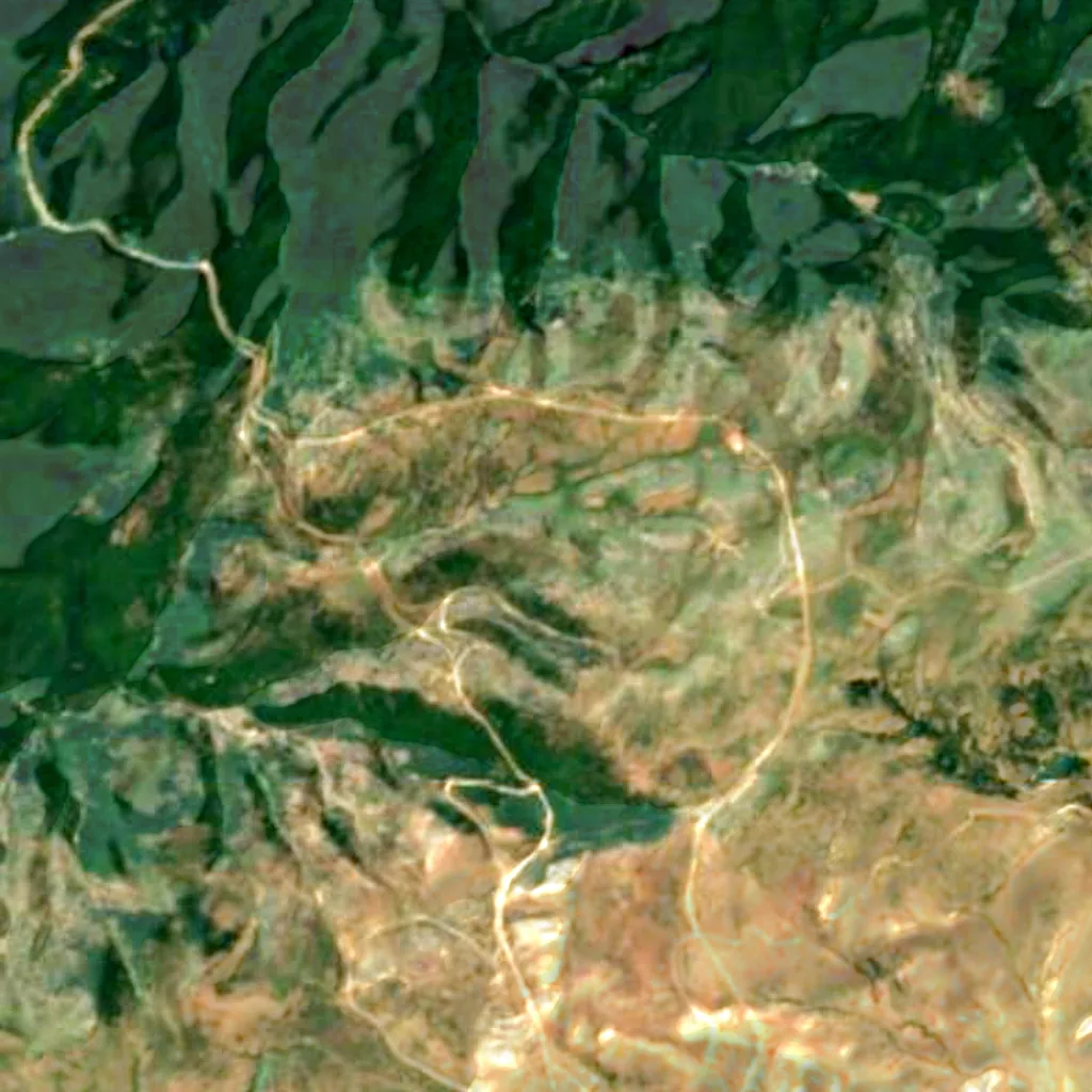 Abr Forest seen from above (Sentinel-2)