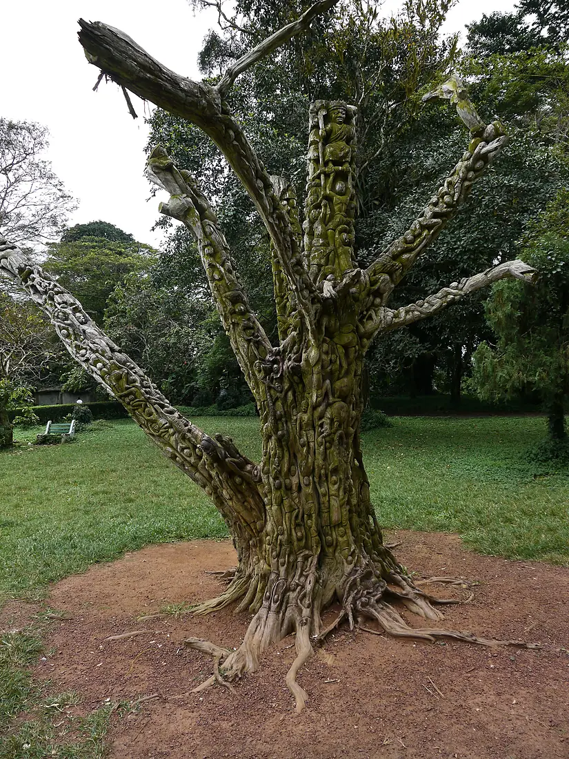 Aburi garden 15