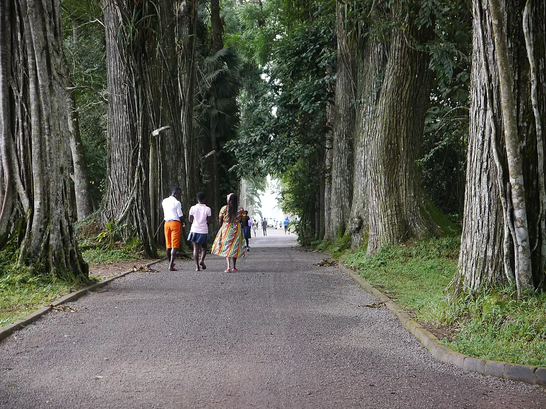 Aburi garden 2