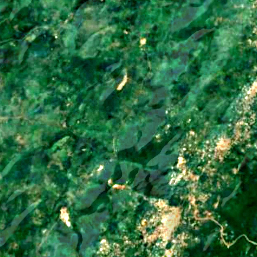 Aburi Botanical Gardens seen from above (Sentinel-2)