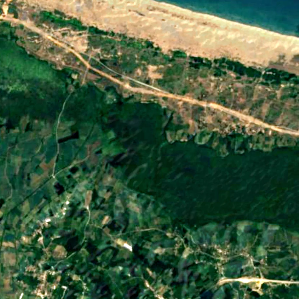 Acarlar Floodplain Forest seen from above (Sentinel-2)