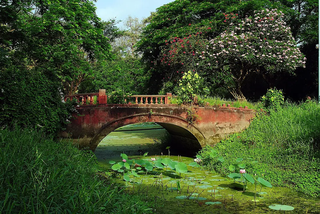 The Old bridge inside Botanical Garden