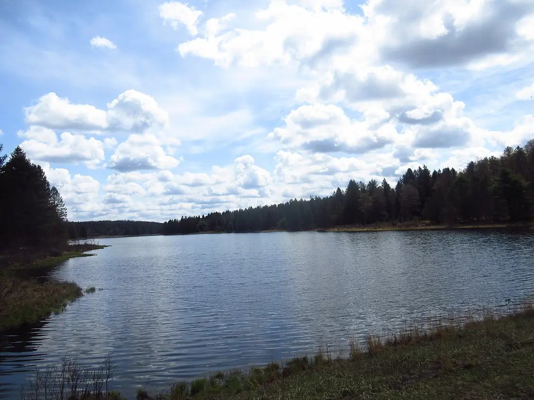 BeaverMeadowsAlleghenyForest