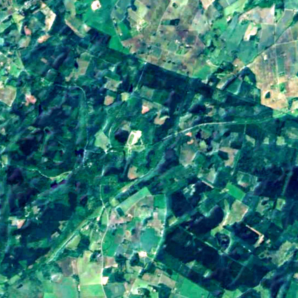 Almindingen seen from above (Sentinel-2)