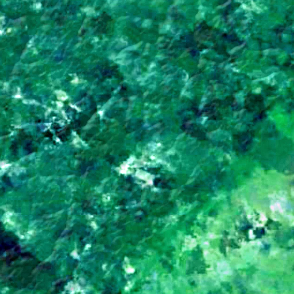 Amapá National Forest seen from above (Sentinel-2)