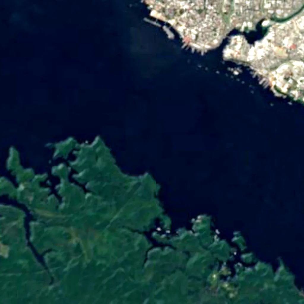 Amazon rainforest seen from above (Sentinel-2)