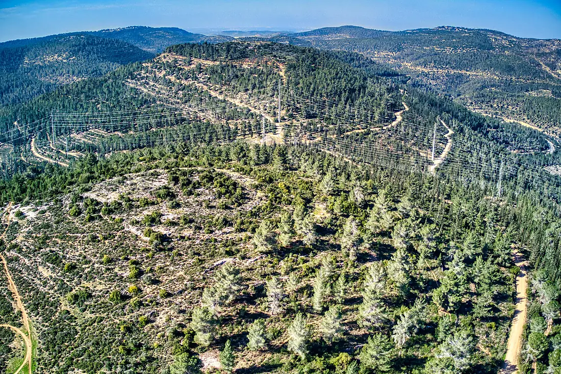 RekhesSorekAminadavForestJan272023 01