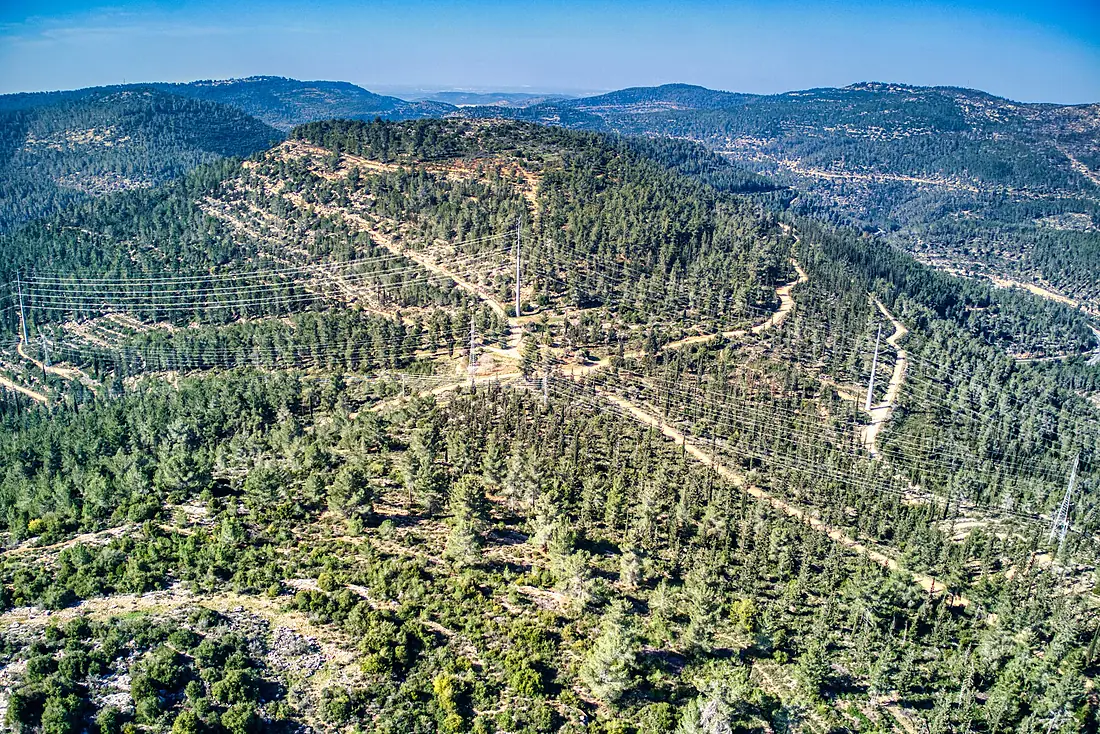 RekhesSorekAminadavForestJan272023 02