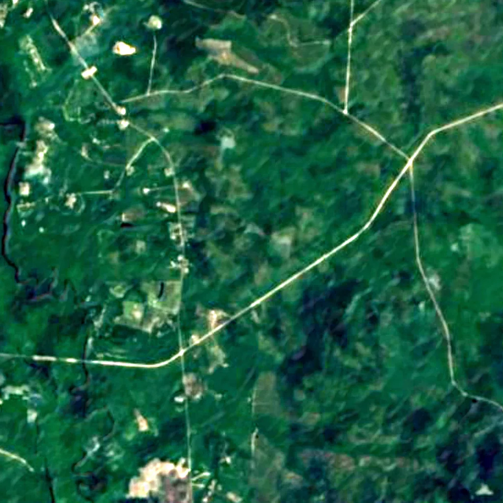 Apalachicola National Forest seen from above (Sentinel-2)