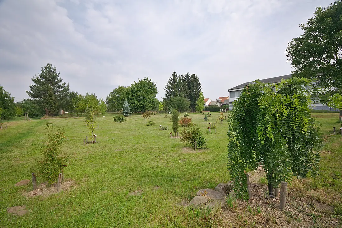 Arboretum, Vrahovice, Prostějov (02)