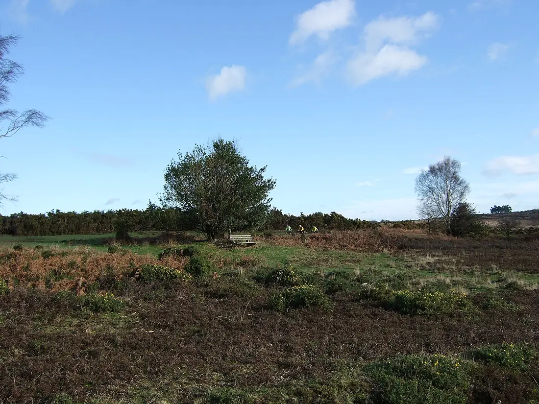 Ashdown Forest cyclists on Crowborough Road