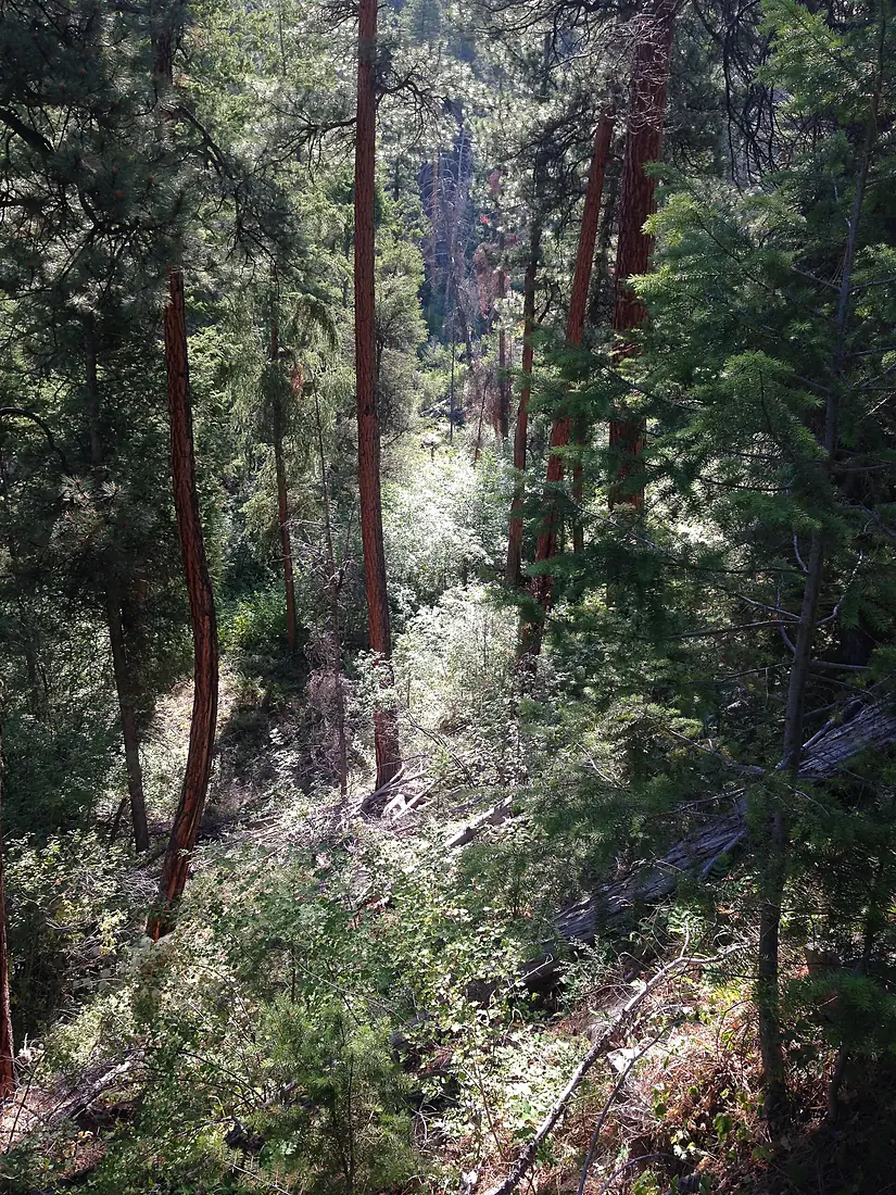 20180704-FS-AshleyNF-DB-Flaming Gorge NRA-01 IMG 01 (45651680501)