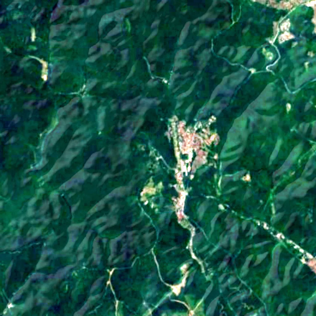 Atatürk Arboretum seen from above (Sentinel-2)