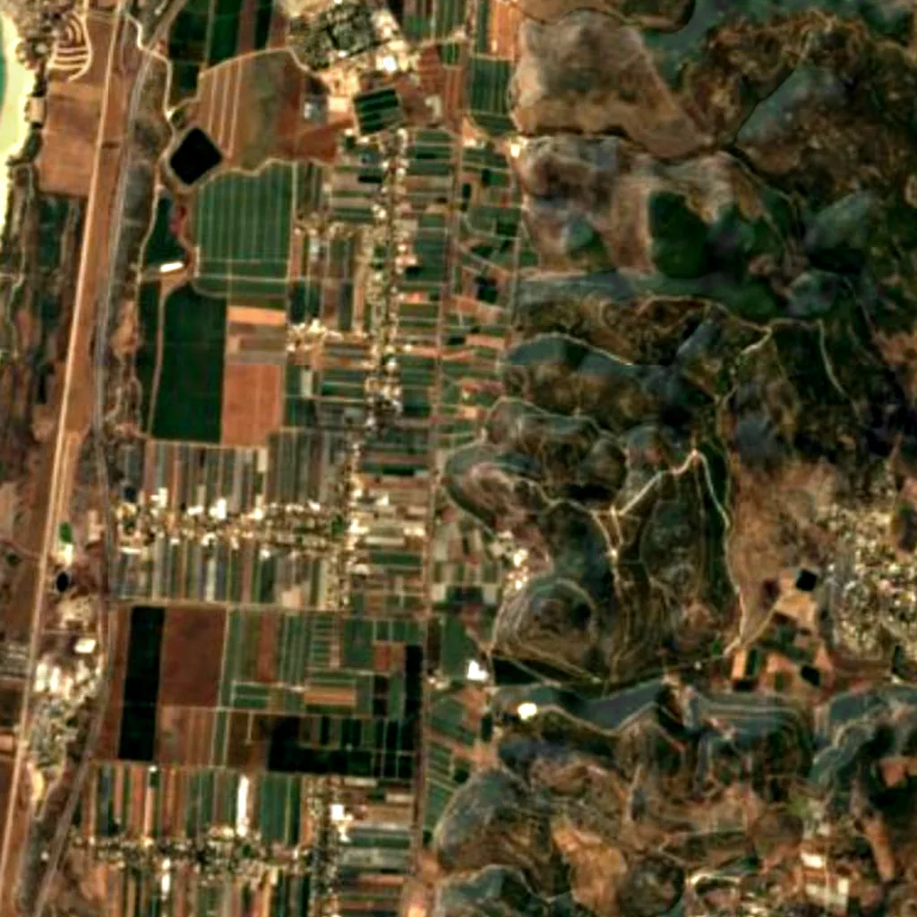 Atatürk Forest (Israel) seen from above (Sentinel-2)