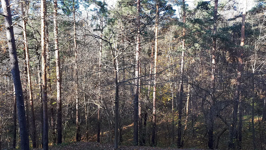 20211030 140223 October 2021 in Augustów