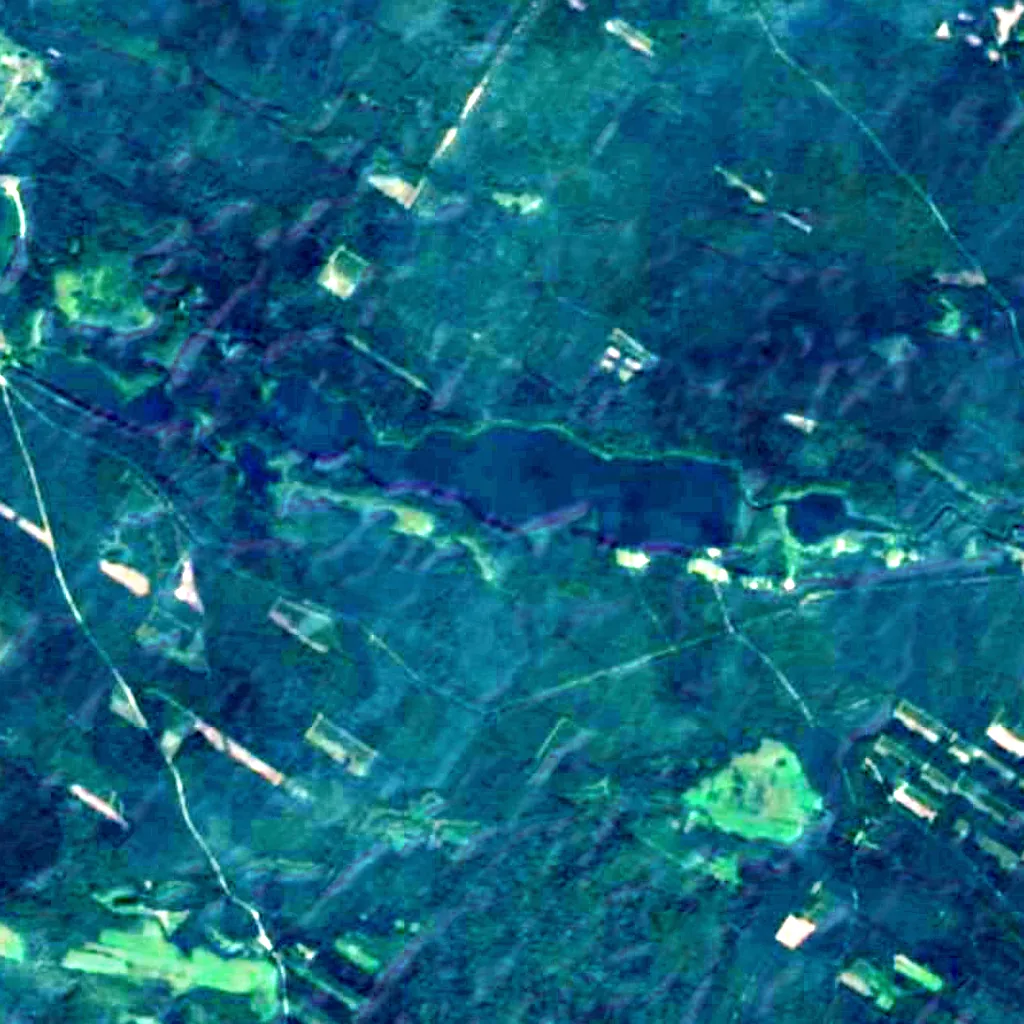 Augustów Primeval Forest seen from above (Sentinel-2)