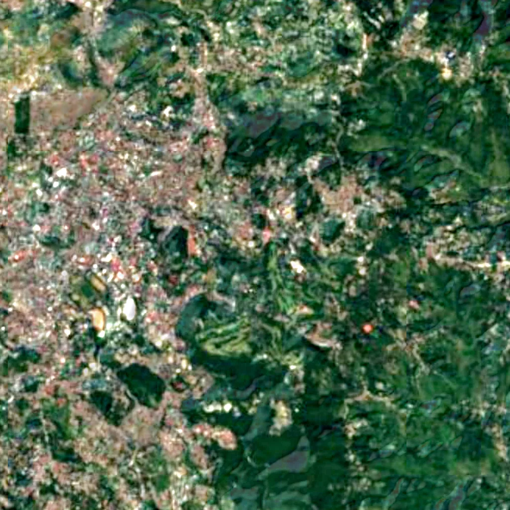 Baguio Botanical Garden seen from above (Sentinel-2)