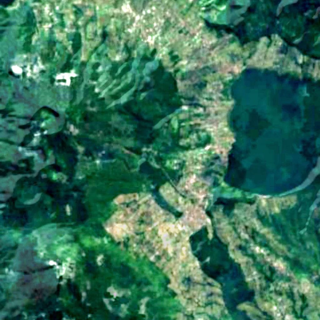 Bali Botanic Garden seen from above (Sentinel-2)