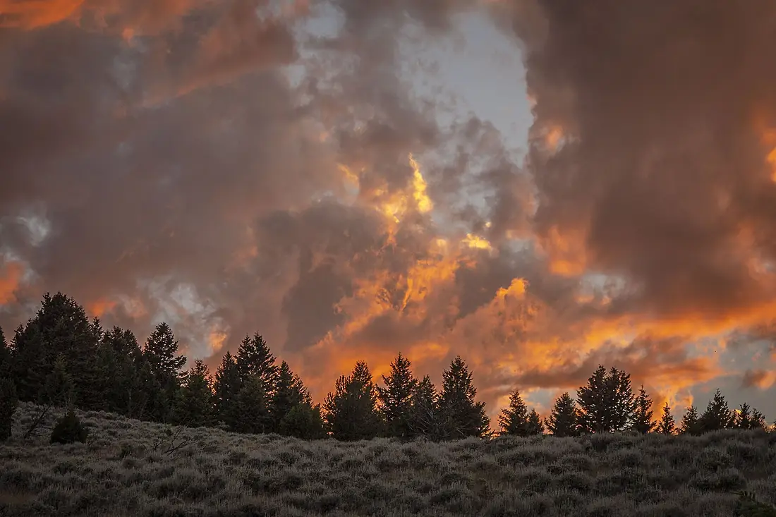 180711-fs-beaverhead-pjk-6452 (42923433895)