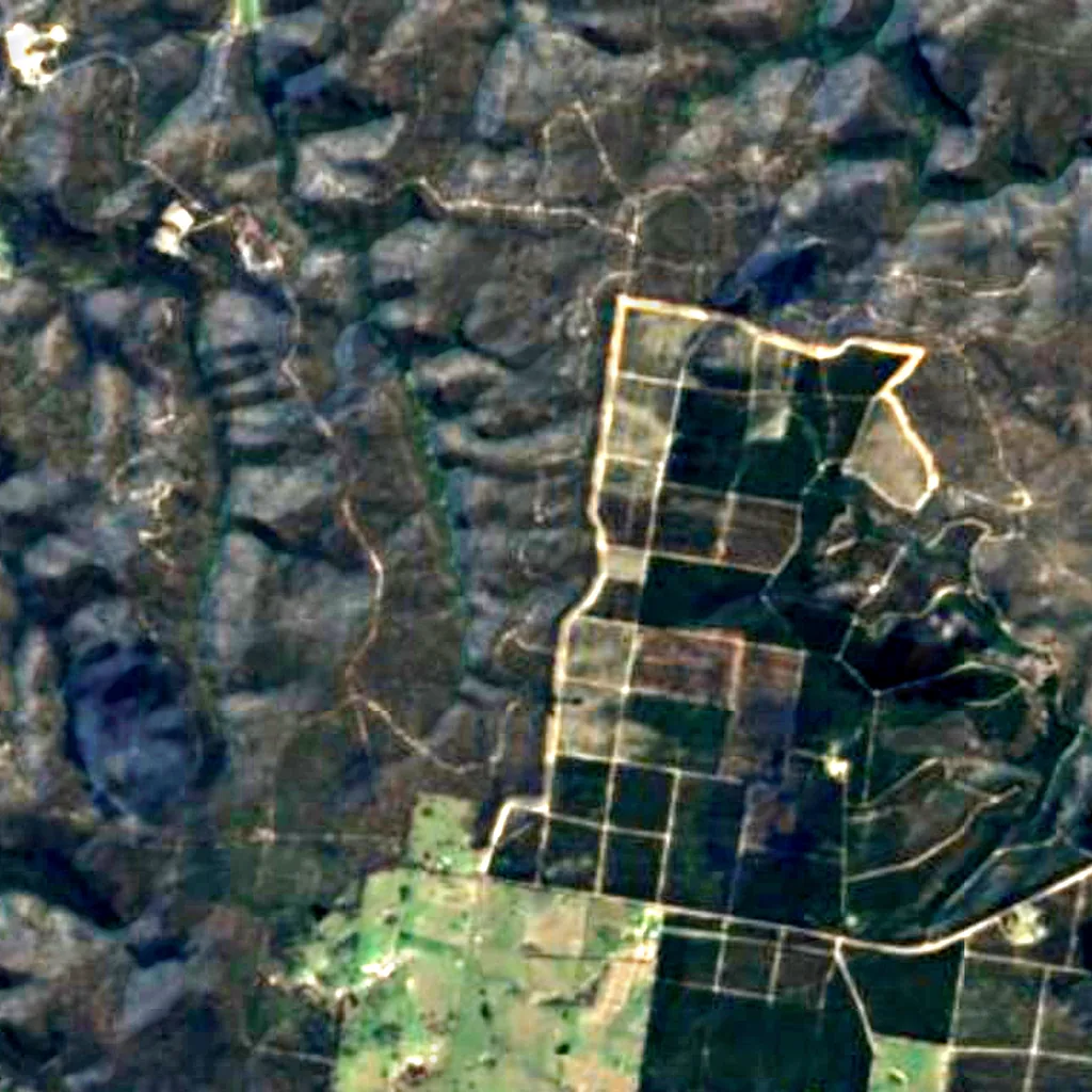 Belanglo State Forest seen from above (Sentinel-2)