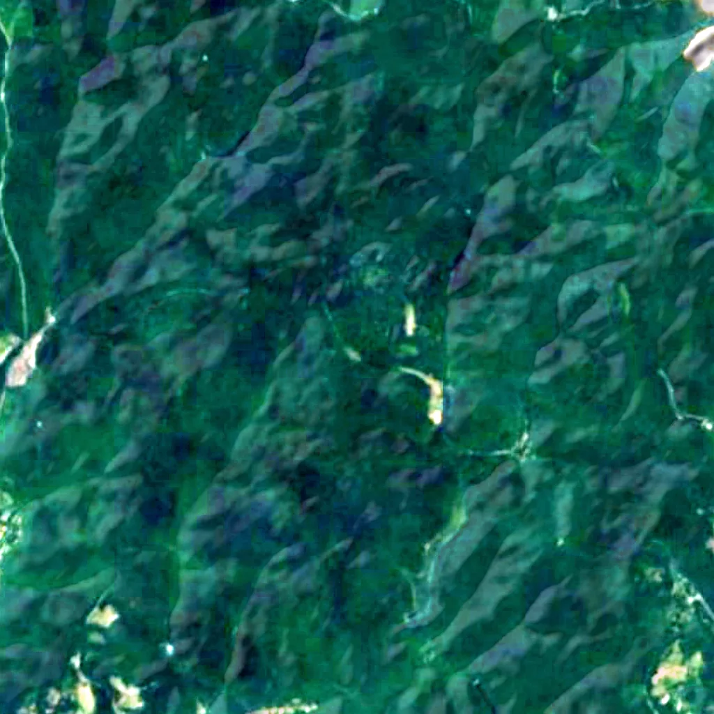 Belgrad Forest seen from above (Sentinel-2)