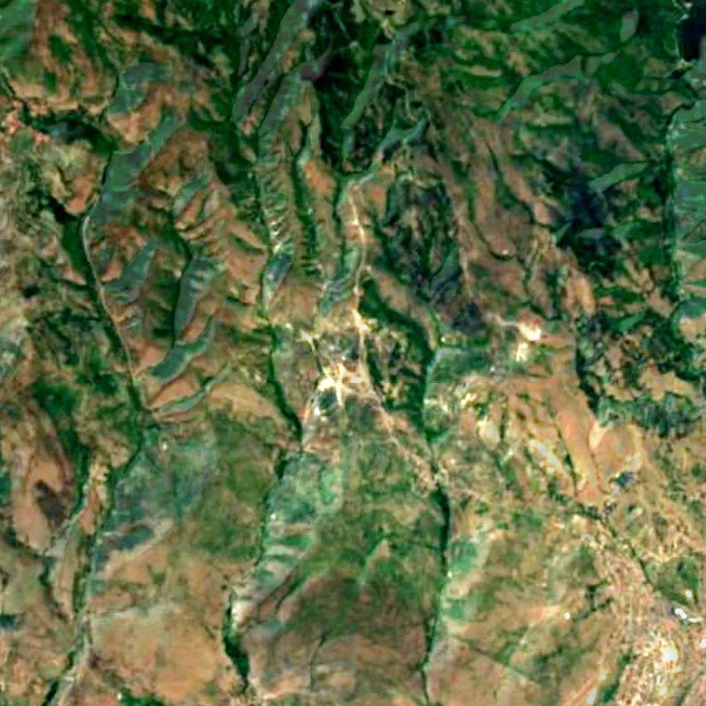 Beli Oak seen from above (Sentinel-2)