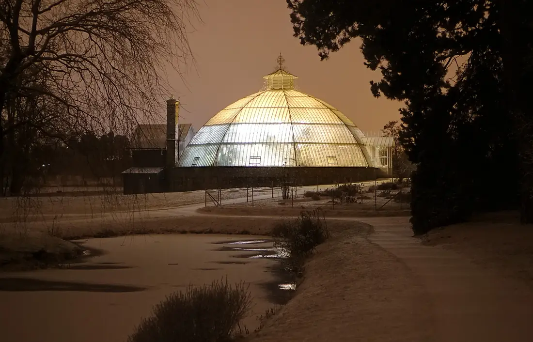 Victoriaväxthuset i Bergianska trädgården