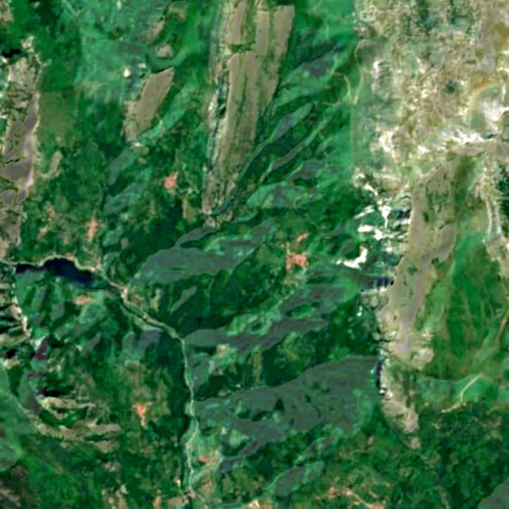 Bermiego Yew seen from above (Sentinel-2)