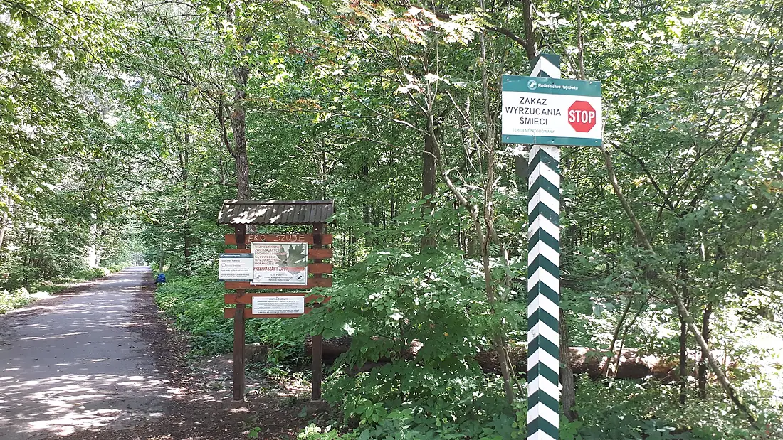20200728 132231 Białowieża Forest