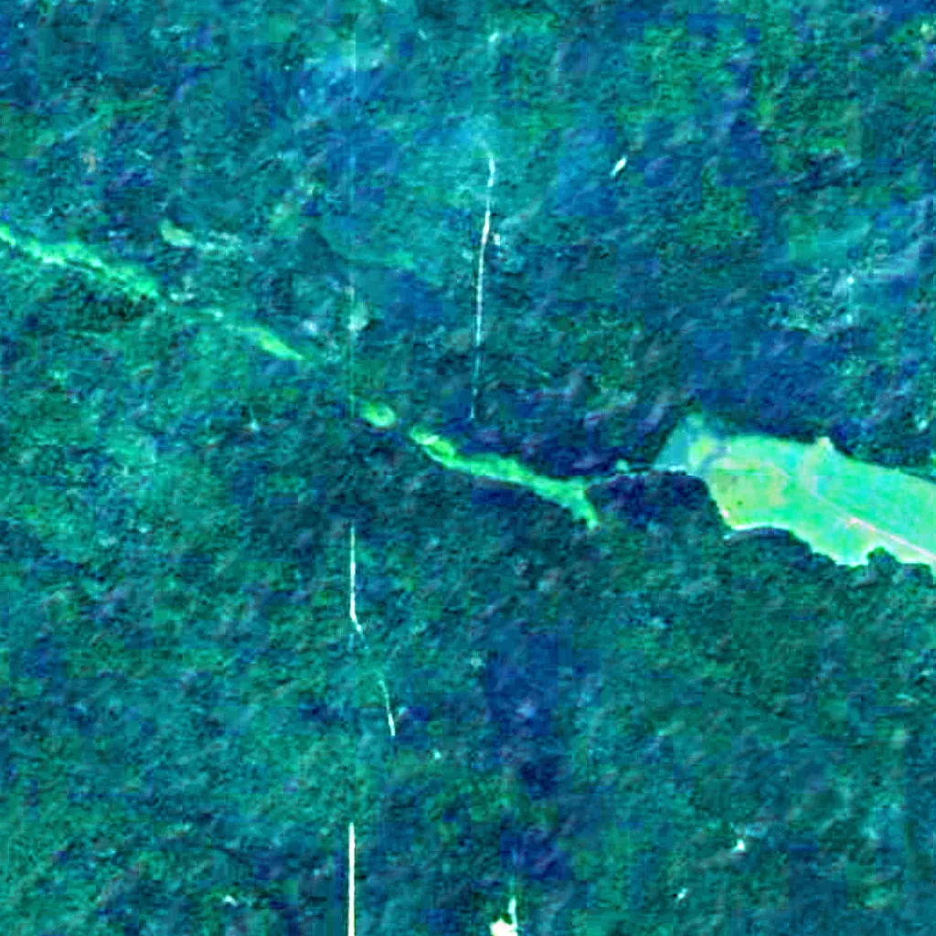 Białowieża Forest seen from above (Sentinel-2)