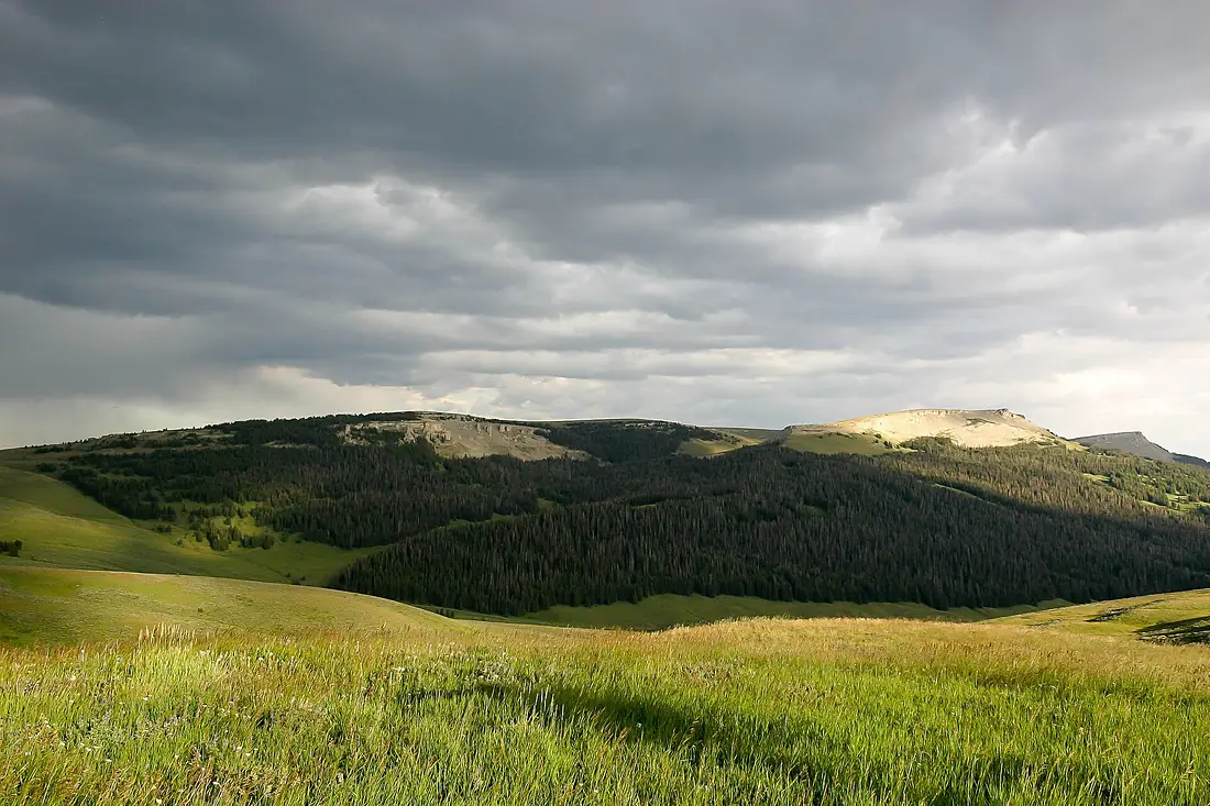 Bighorn National Forest