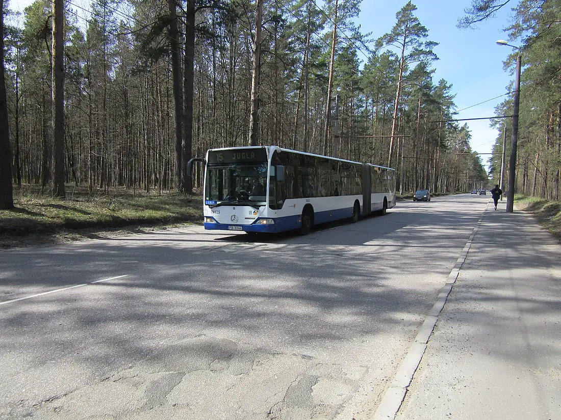 15. autobuss Biķernieku mežā