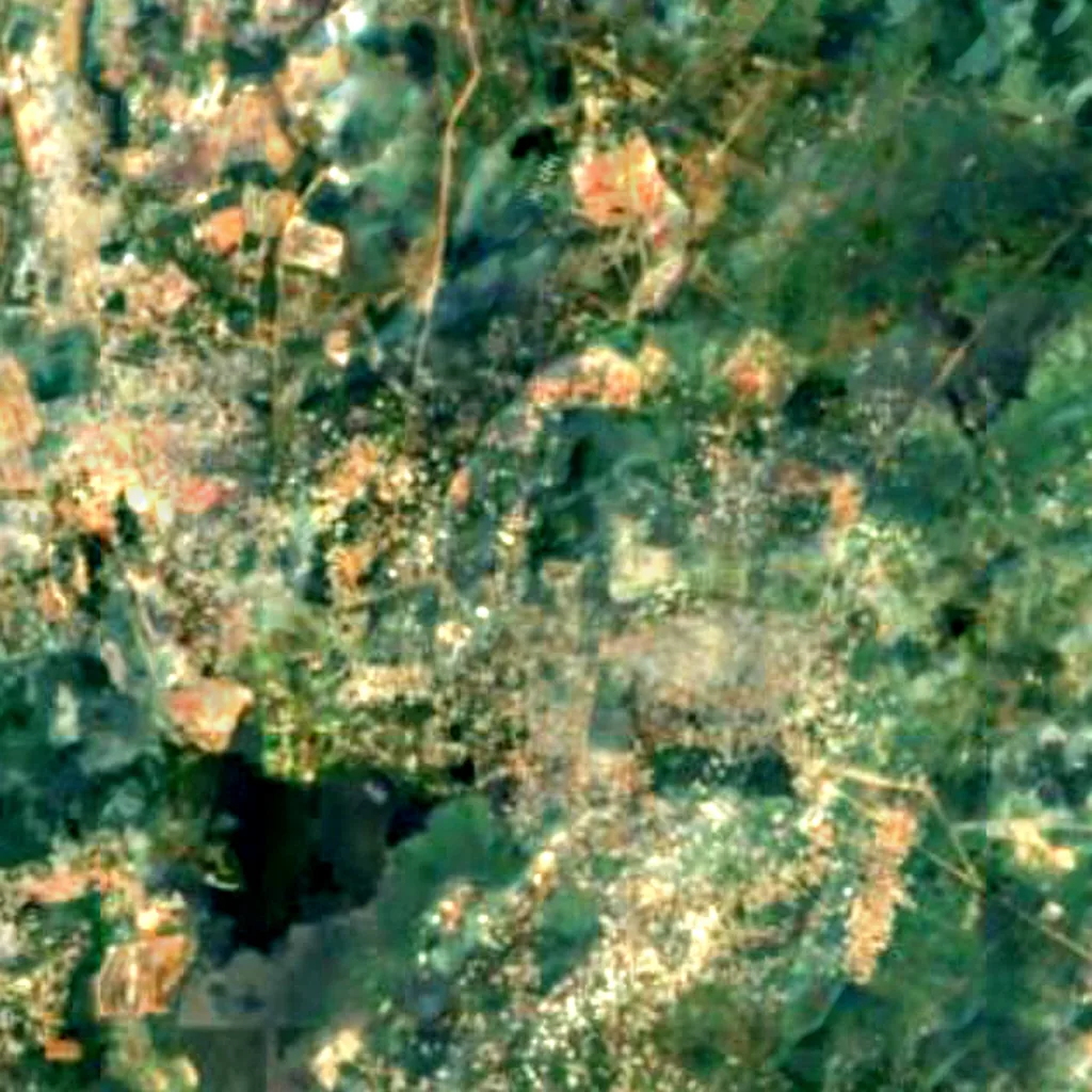 Bingerville Botanical Garden seen from above (Sentinel-2)