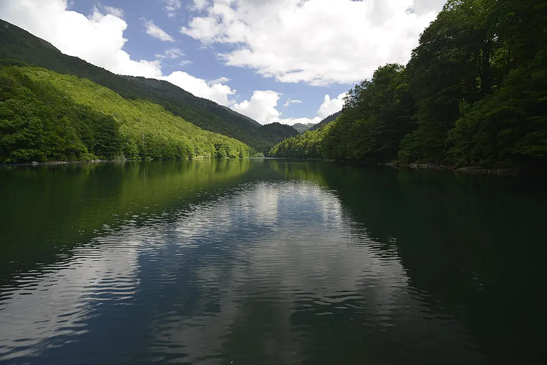 Beauty of National Park Biogradska Gora, Montenegro 01
