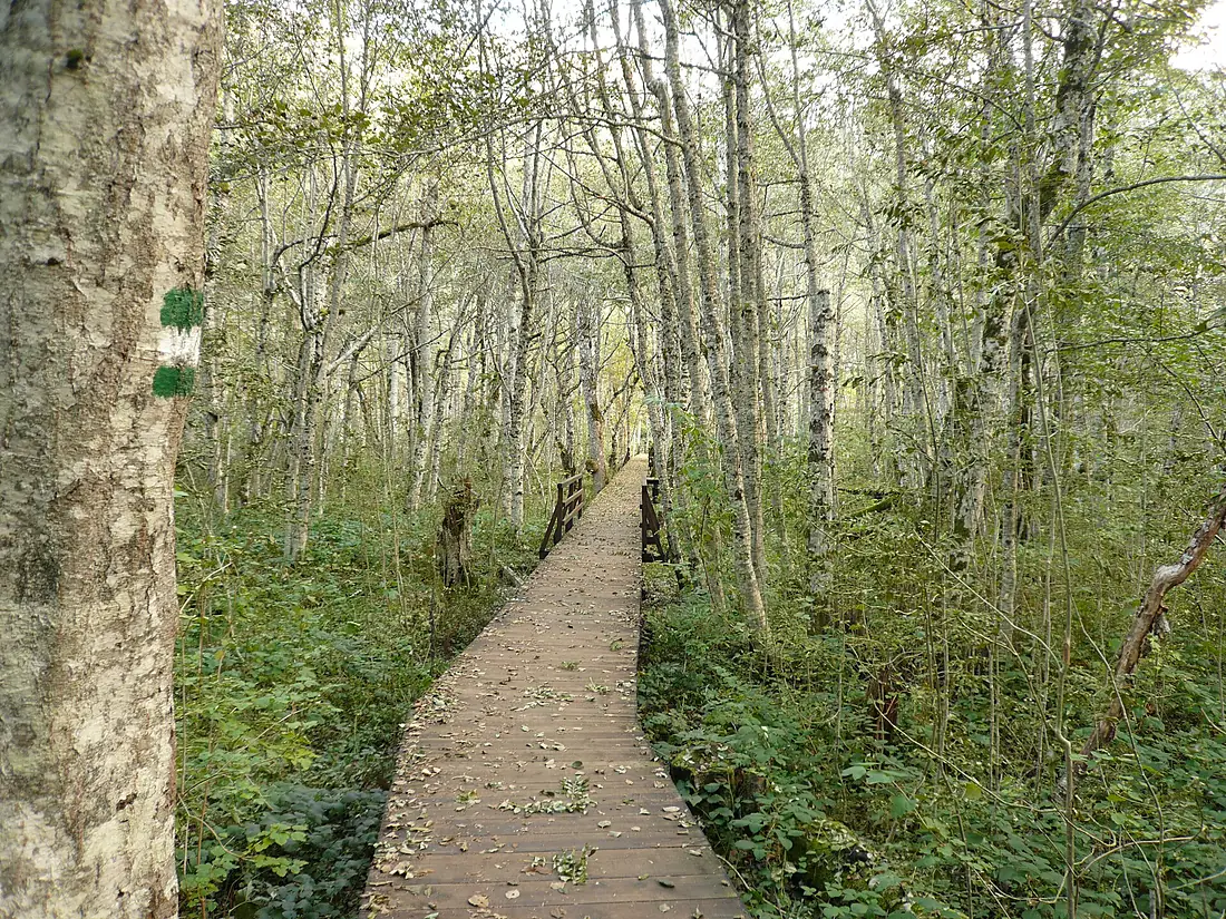BiogradskoJezeroSteg