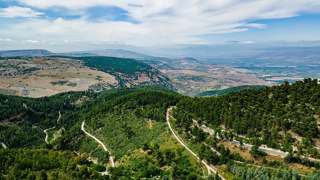 97771 birya forest PikiWiki Israel