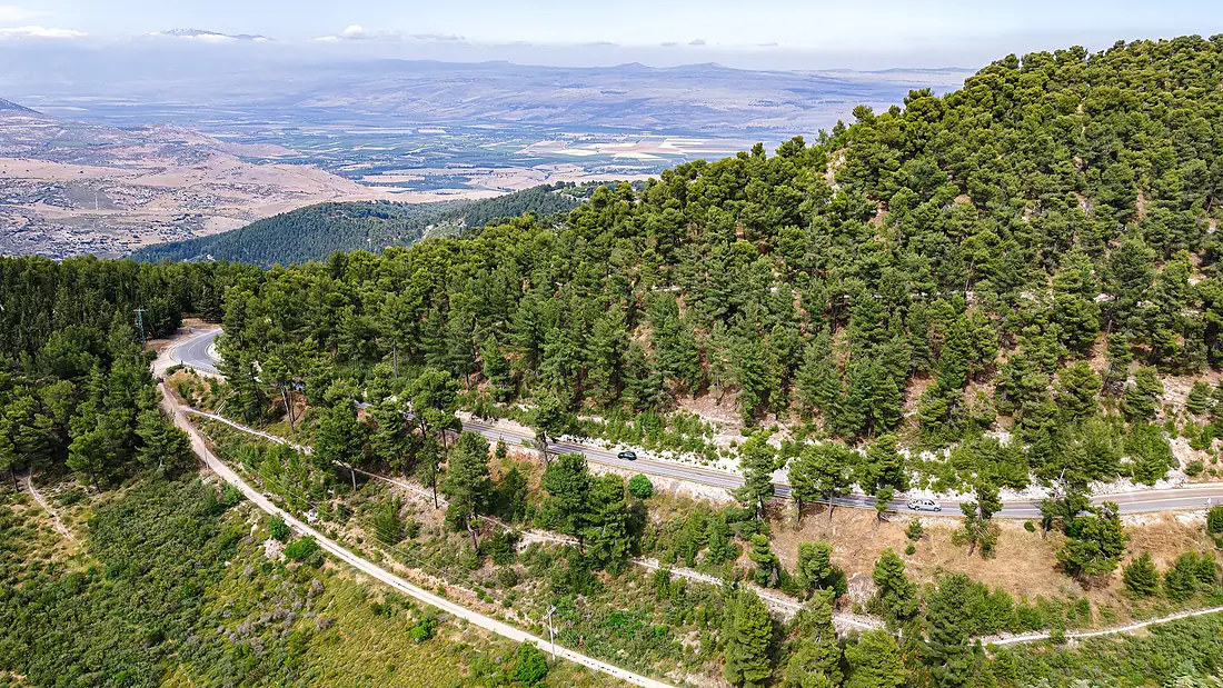 97777 biriya forest and the golan heights PikiWiki Israel