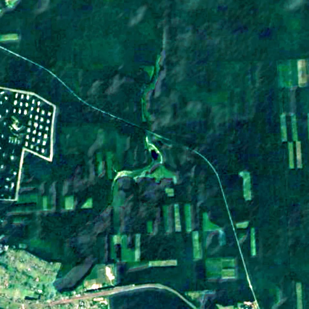 Black Forest seen from above (Sentinel-2)