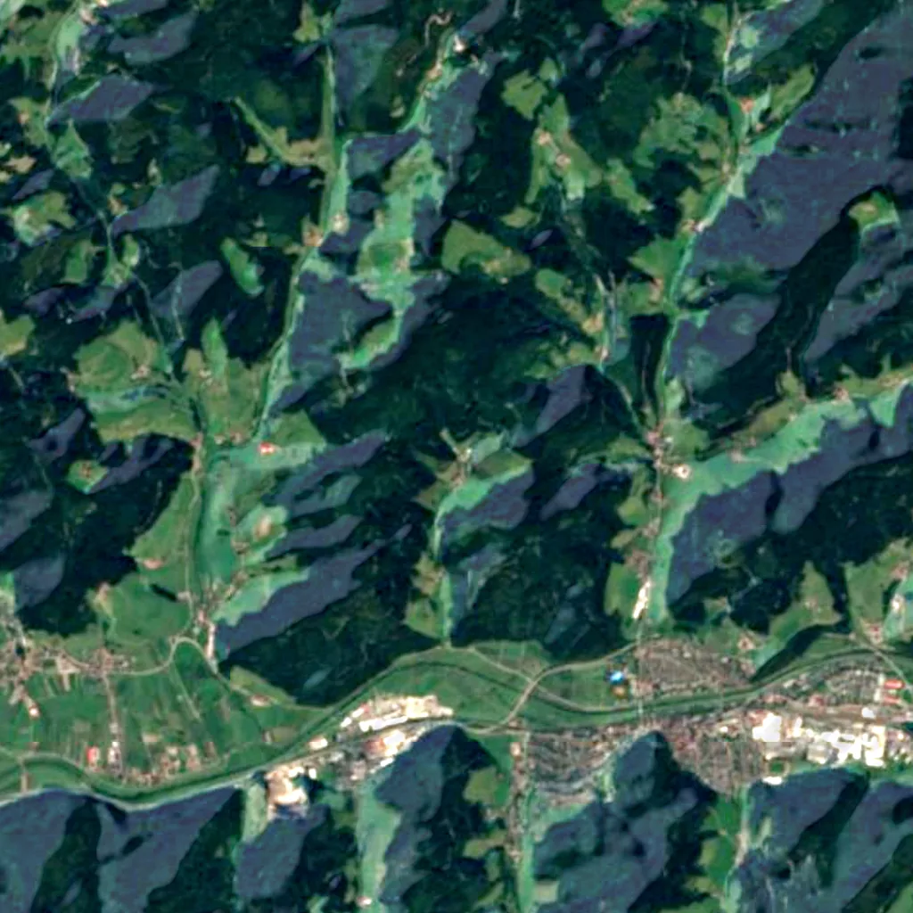 Black Forest seen from above (Sentinel-2)