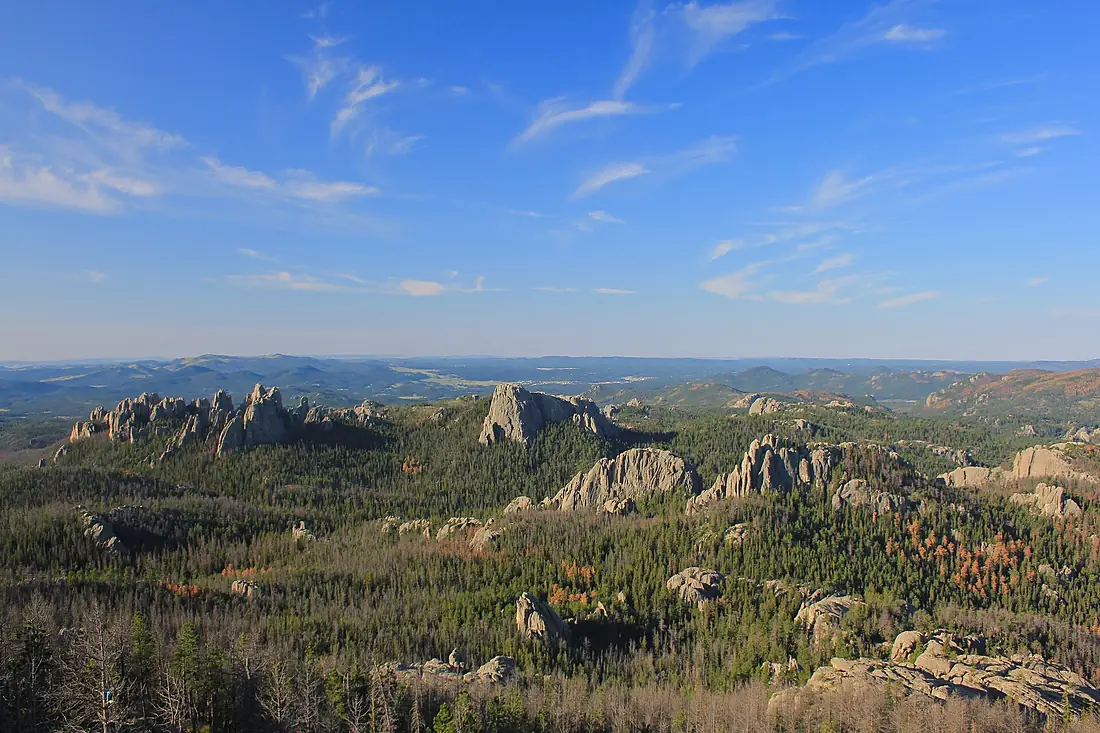 Black Hills from Harney Peak