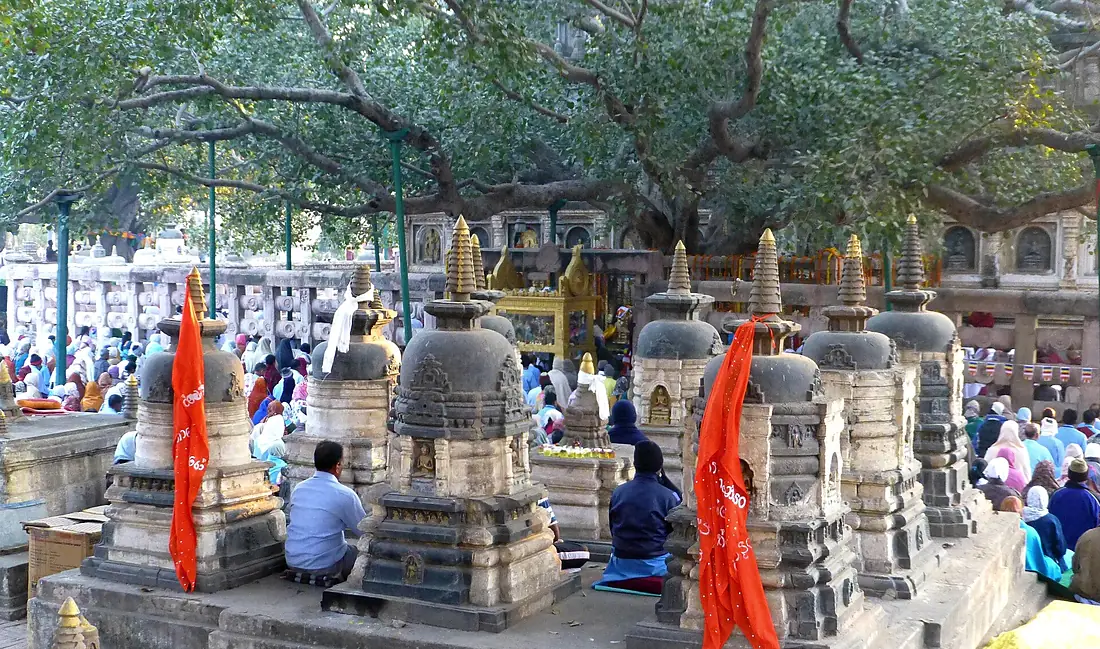 028 Bodhi Tree and Meditators (9222132890)