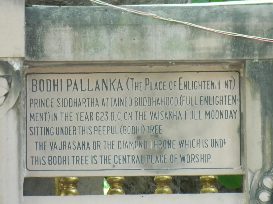 Bodhi Tree Marking - panoramio