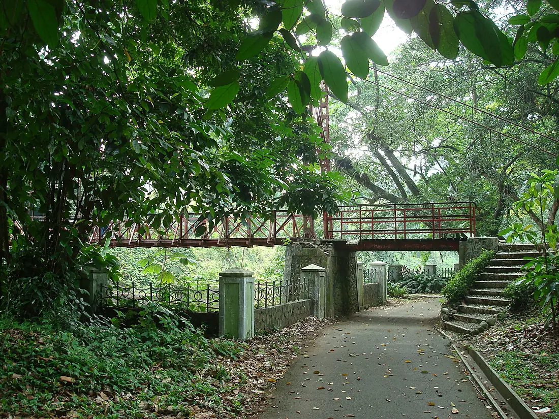 Bogor Botanical Gardens Java42