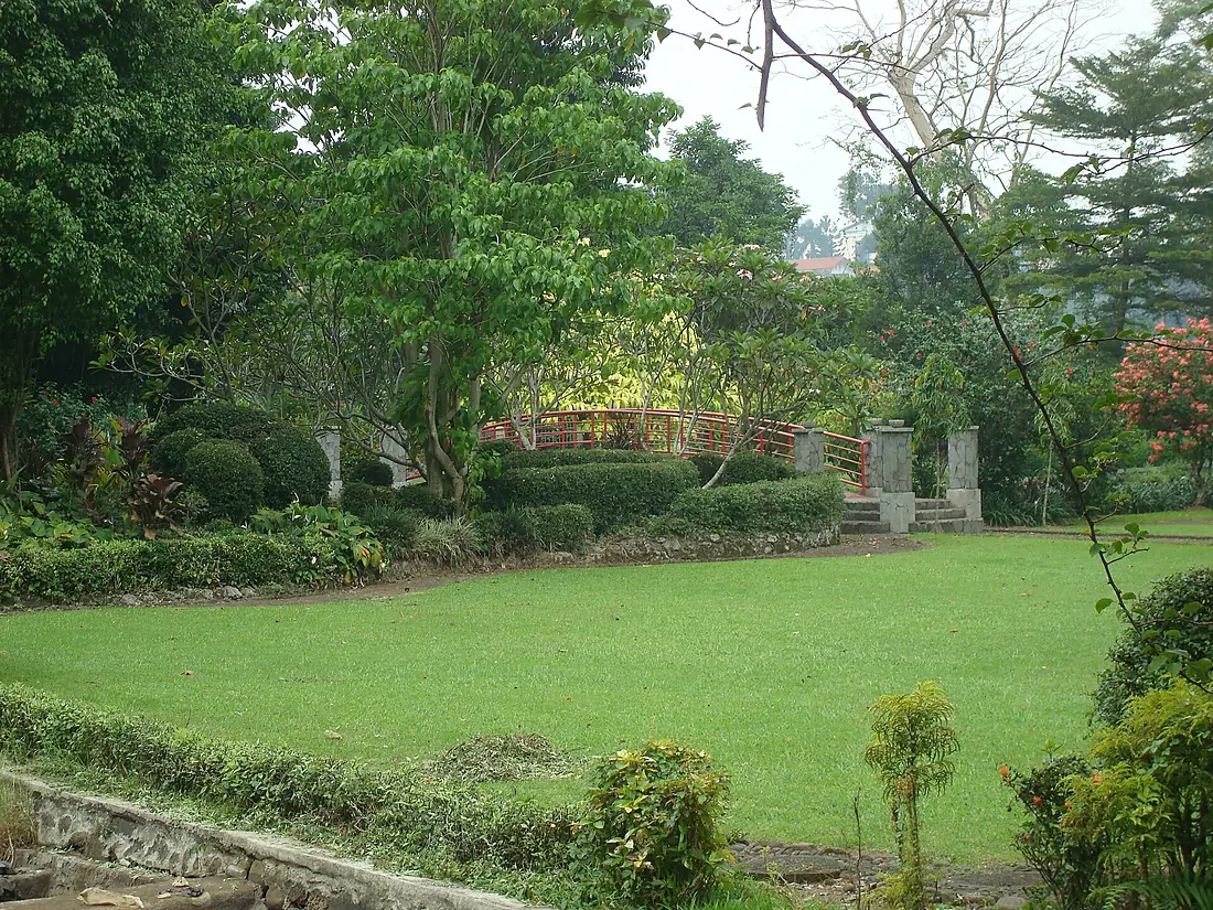 Bogor Botanical Gardens Java46