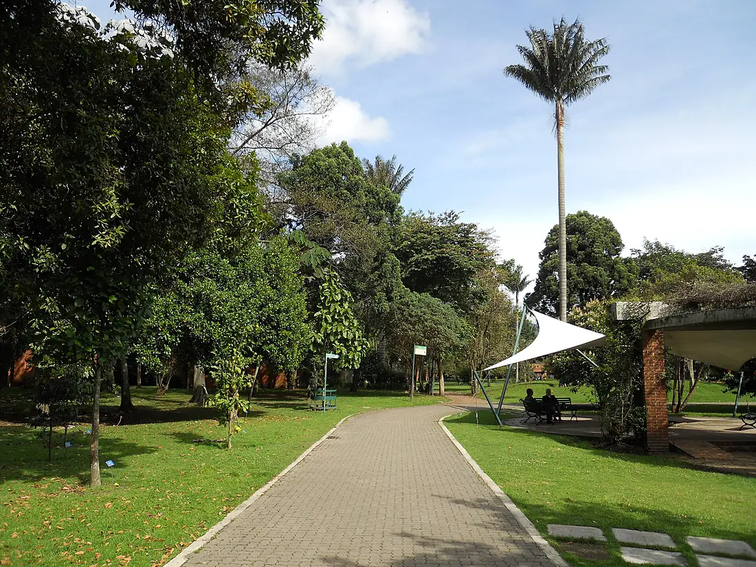 Bogotá, sendero en el Jardín Botánico