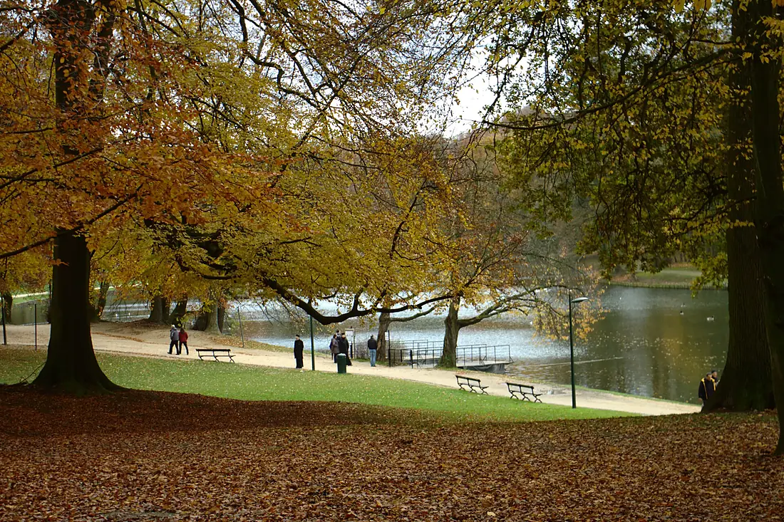 Brusel, Bois de la Cambre, jezero